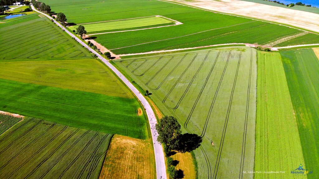 Rozpoczęto budowę trasy EV10/13 z Pucka do Błądzikowa
