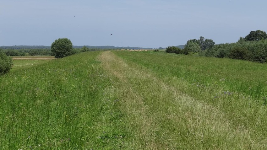 Wiślana Trasa Rowerowa będzie przedłużona na Mierzeję Wiślaną