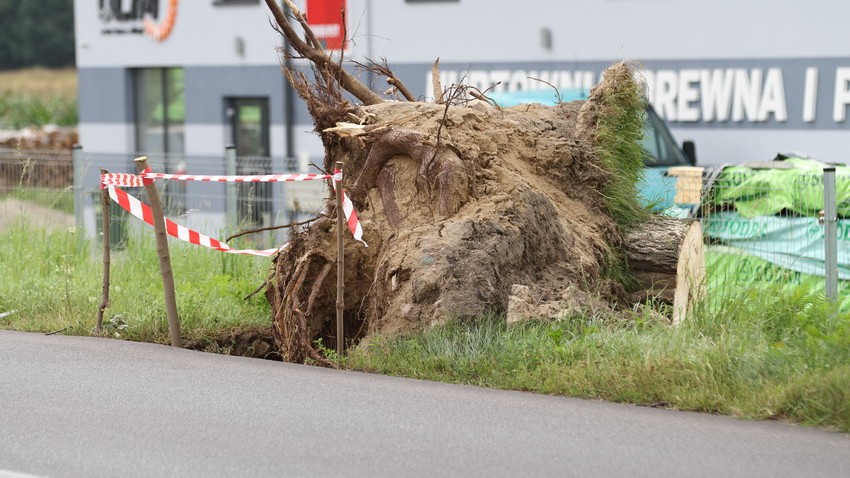 Pomoc poszkodowanym w nawałnicy. Zrzeszenie Kaszubsko-Pomorskie uruchomiło specjalne konto