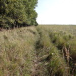 Transgraniczne Szlaki Rowerowe R64
