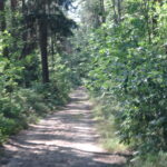 Transgraniczne Szlaki Rowerowe R64