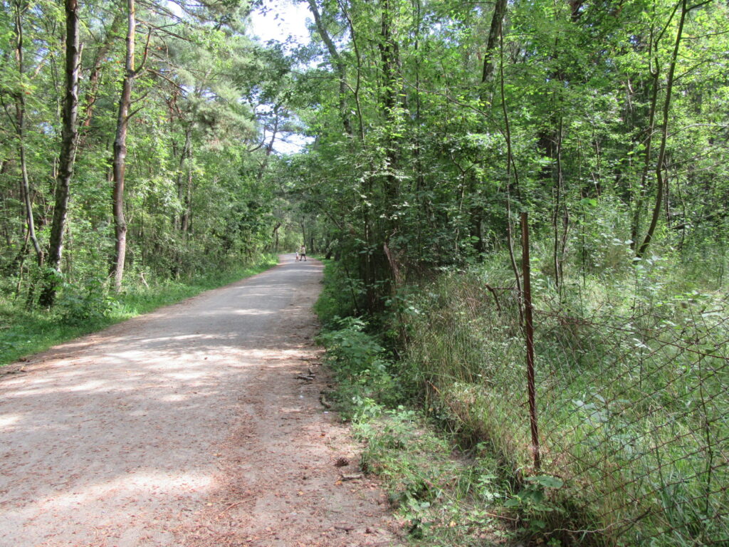 Krynica Morska zaprasza rowerzystów