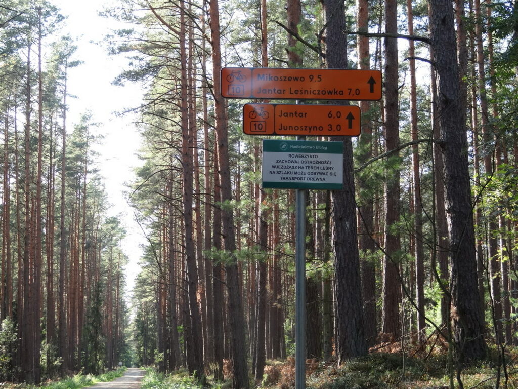 Prace na ostatnim odcinku Szlaku R10 na Mierzei Wiślanej rozpoczęte