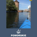Okładka Analizy i wytyczne środowiskowe