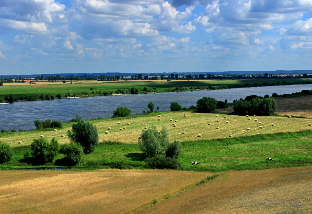 Rekomendacje dotyczące budowy drogi rowerowej na wałach wiślanych