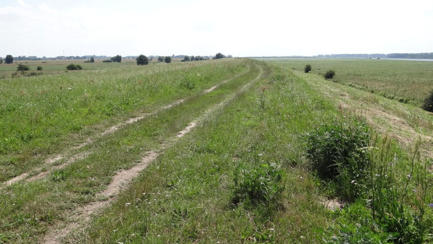 Pierwszy krok do połączenia międzynarodowych tras rowerowych na Pomorzu. Są pieniądze na projekt budowalny