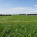 rowerem bez granic wisła wał przeciwpowodziowy