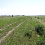 rowerem bez granic wisła wał przeciwpowodziowy