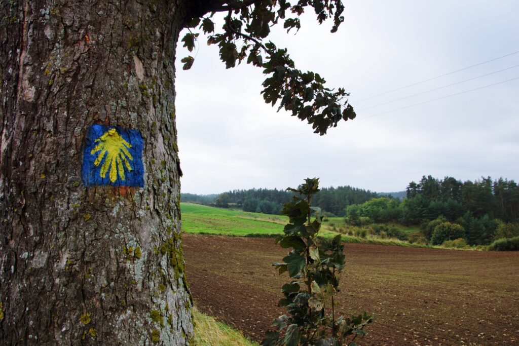 Zapraszamy do wysłuchania cyklu podcastów „Camino – biegun, który nas prowadzi i przyciąga…”