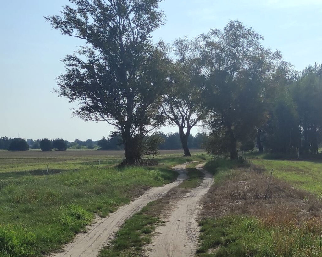 Przebudowa odcinków trasy EuroVelo 10/13 w Gminie Smołdzino
