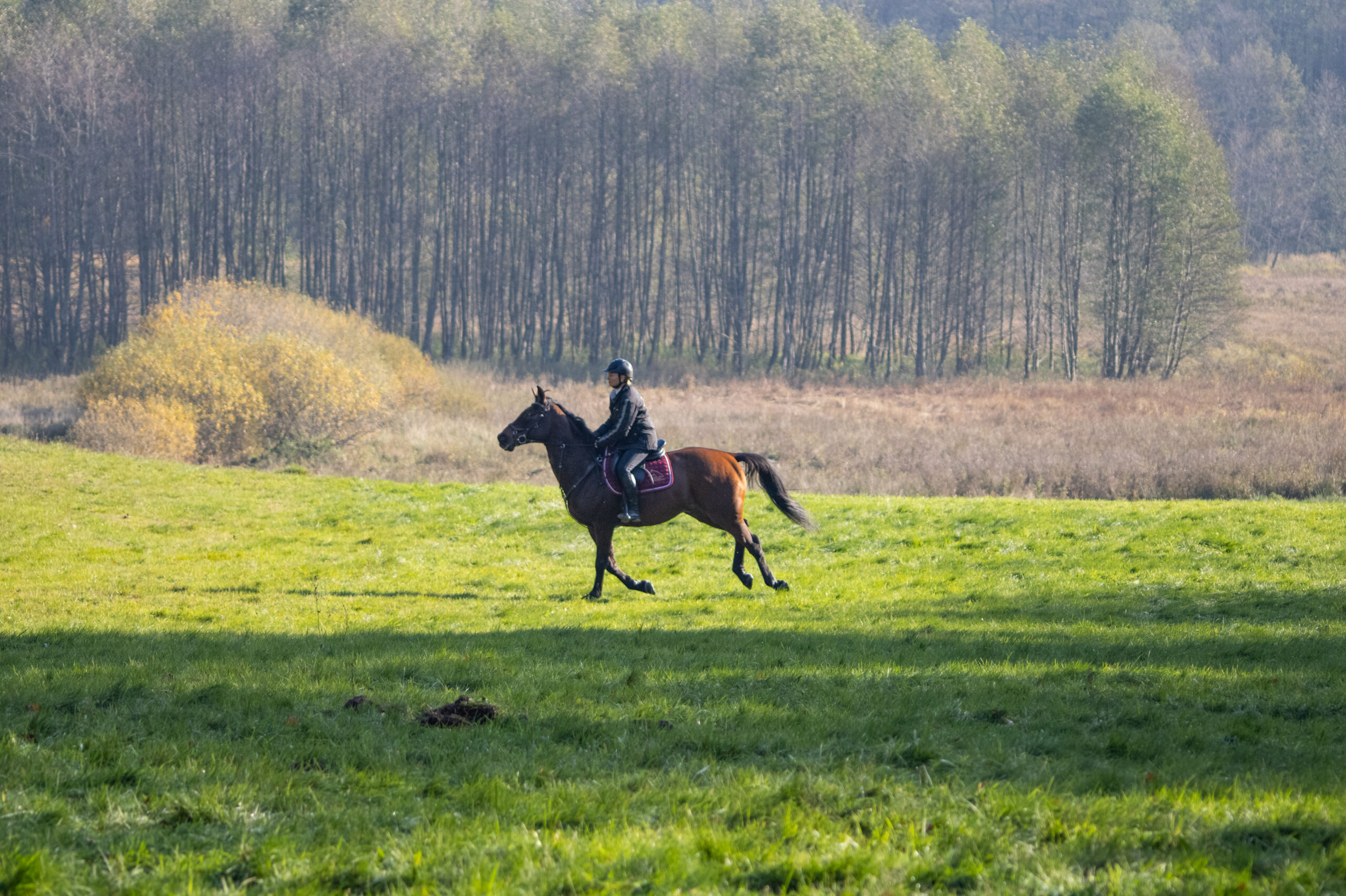 HORSE TOURISM FOR EVERYONE – startujemy z nowym projektem dla turystyki konnej w Pomorskim!