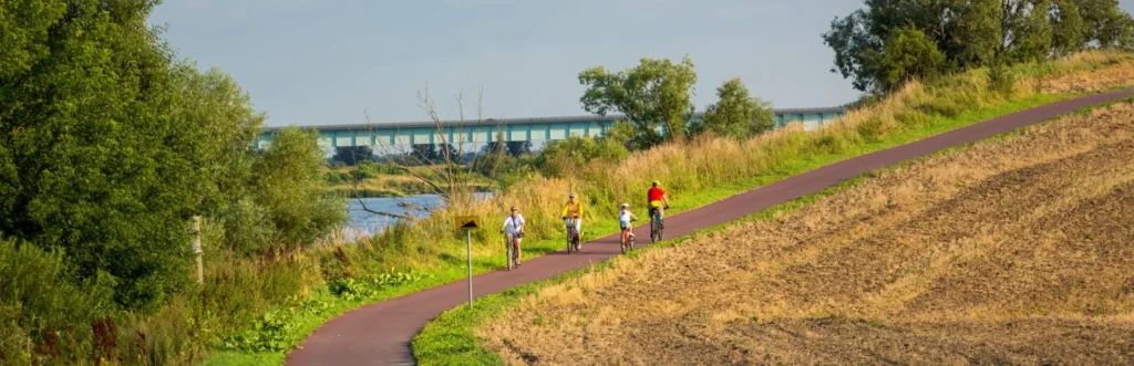 3 czerwca to Światowy Dzień Roweru