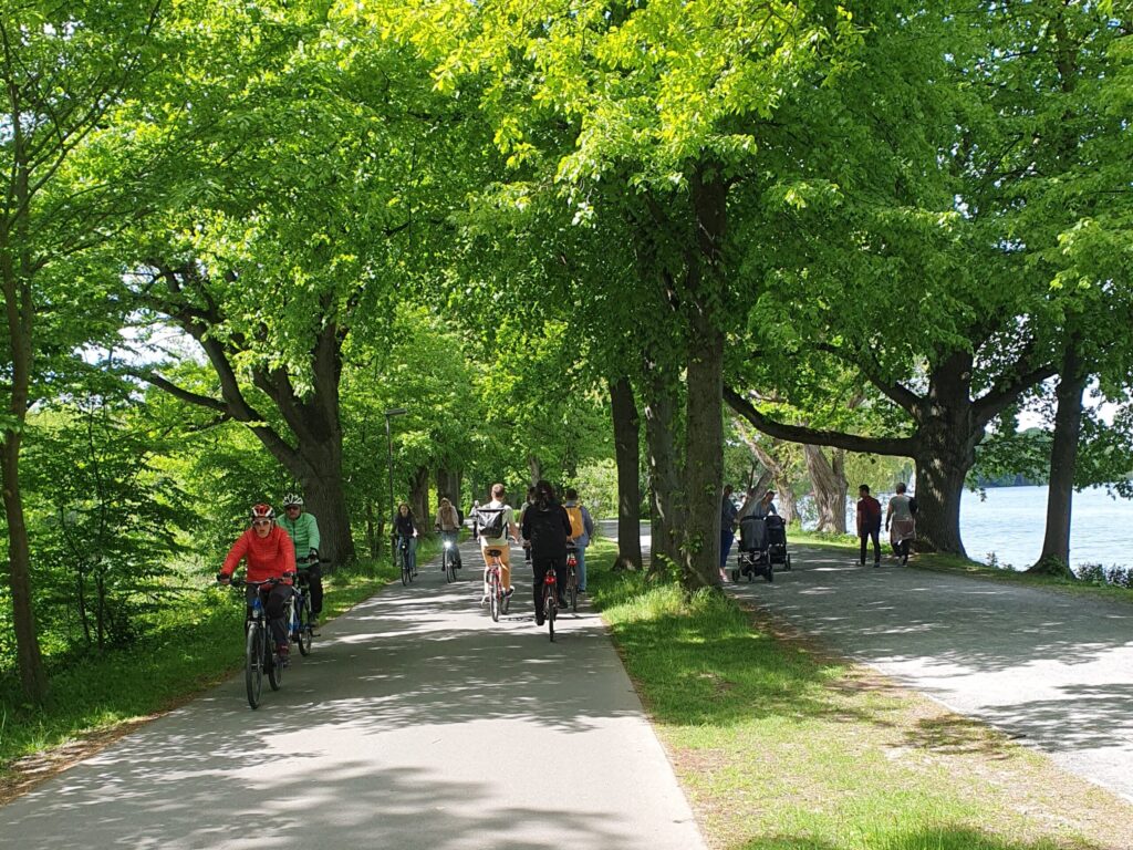 „Podstrategia dla Turystyki Rowerowej” – Badanie potrzeb turystyki rowerowej