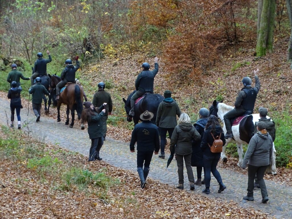 Regionalne warsztaty turystyki konnej w Runowie – współpraca dla lepszego rozwoju szlaków