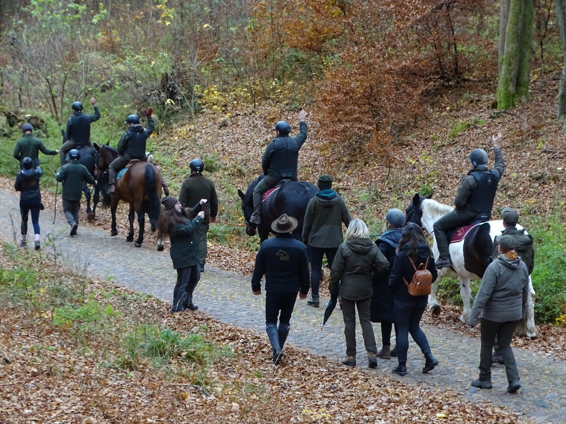 Regionalne warsztaty turystyki konnej w Runowie – współpraca dla lepszego rozwoju szlaków